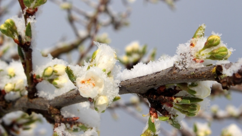 През нощта над Източна България ще има значителна облачност на