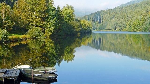 Нов инцидент с удавено дете е станал в Монтанско научи