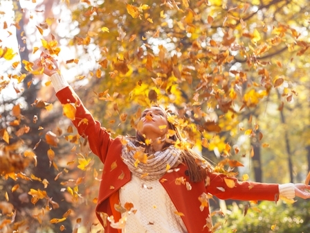 През нощта времето ще бъде ясно В Източна България ще