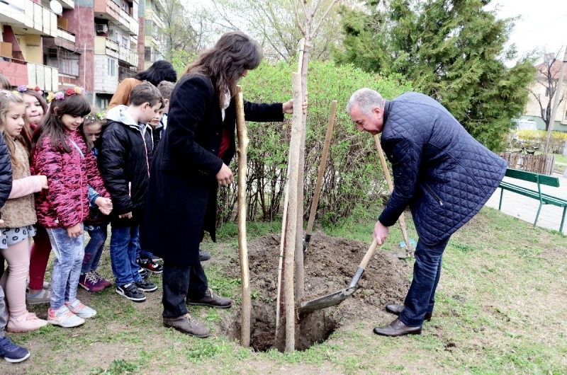 След провеждането на редица есенни кампании за засаждане на фиданки