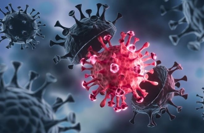 Пандемията COVID 19 бързо се оттегли от колективната ни памет но