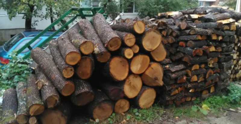 7 кубика крадени дърва откриха униформени във Врачанско, съобщиха от