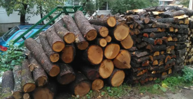 Униформени провериха къщи в Михайлово, намериха крадени дърва