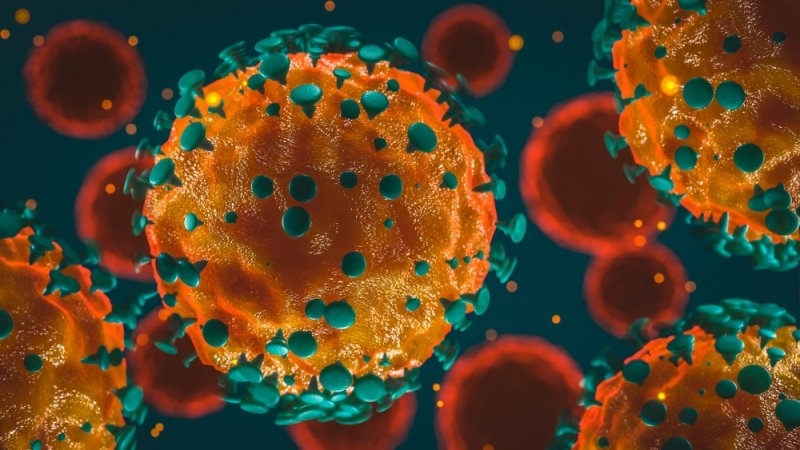 Ваксинираните срещу коронавируса може да се заразят с Гама щама