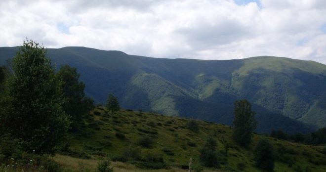 На няколко по тежки случая на пострадали хора от началото на