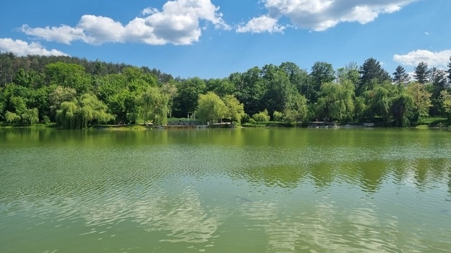 Днес преди обяд ще е предимно слънчево След обяд ще