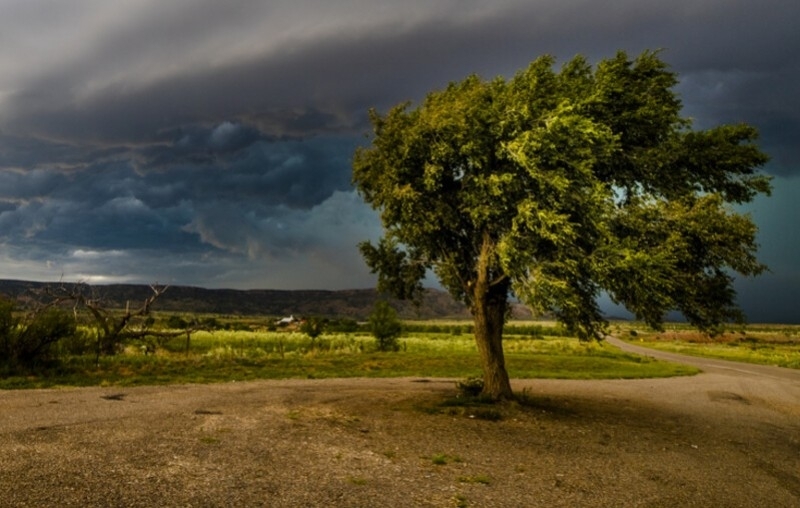 В 12 области на страната предимно в Северна България  е обявен предупредителния жълт