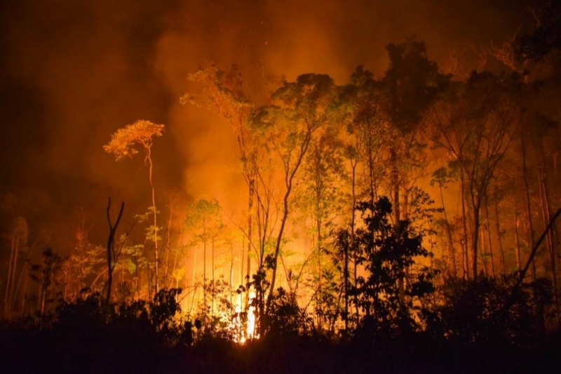 Пламъци от горските пожари в руската Челябинска област Урал обхванаха селищата
