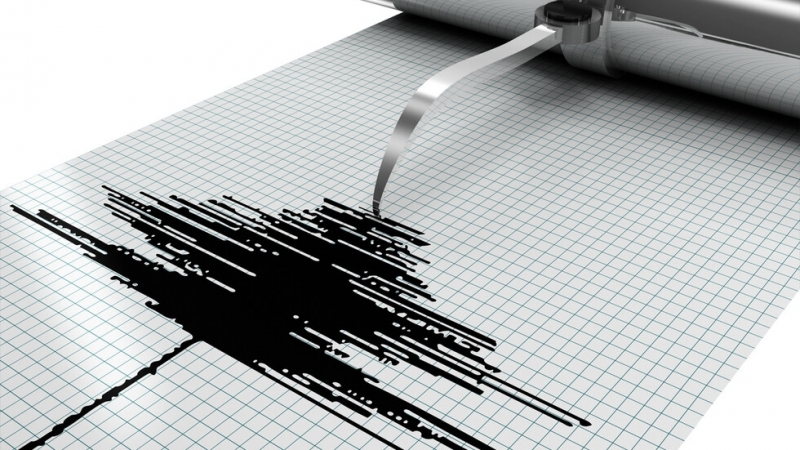 Земетресение с магнитуд 4 6 е било регистрирано в Егейско море