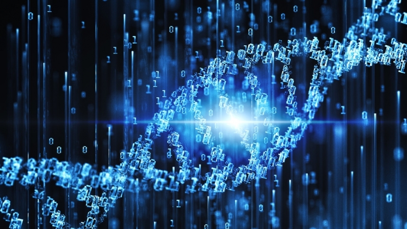 От десетилетия лингвистите се опитват да разберат защо езици които