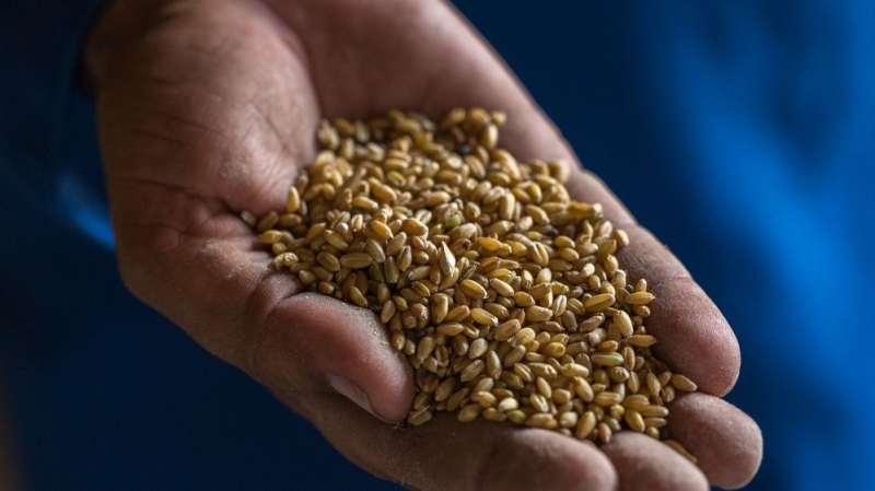 Представители на БАБХ увериха че няма засечени тежки метали в