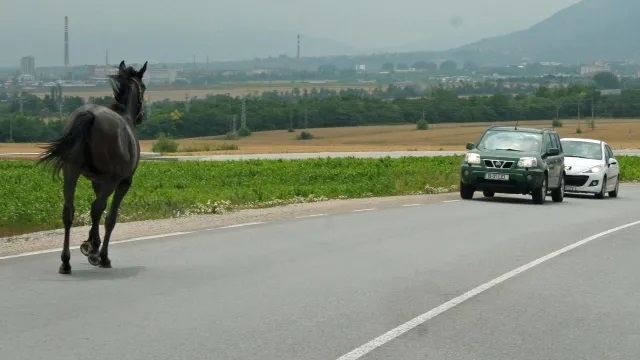 56 годишен мъж загина след като с колата си се удaрил