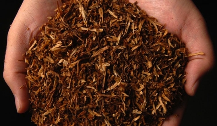 Вчера служители на реда от районното управление в Козлодуй установиха