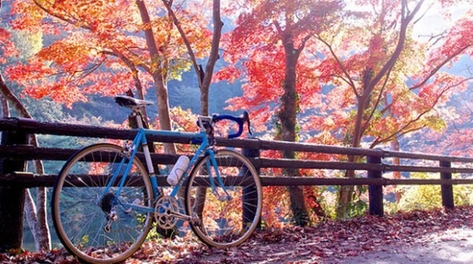 През нощта облачността ще се разкъса и намалее В сутрешните