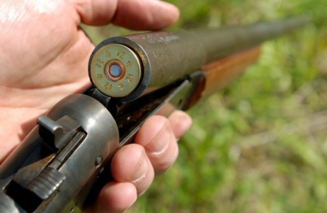 Мъж стреля с пушка по домашни животни във Врачанско улучи