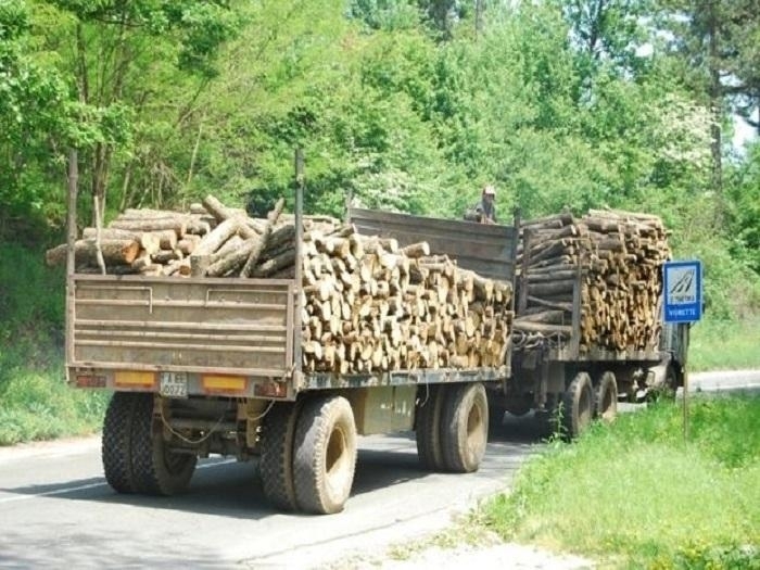 Заловиха румънци с претоварени с дърва камиони съобщиха от МВР Видин Случката