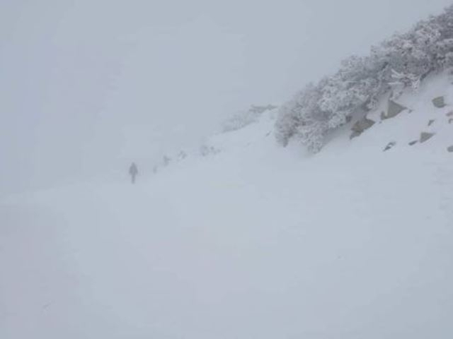 Метео Балканс Meteo Balkans показа снежни снимки от съседна Румъния