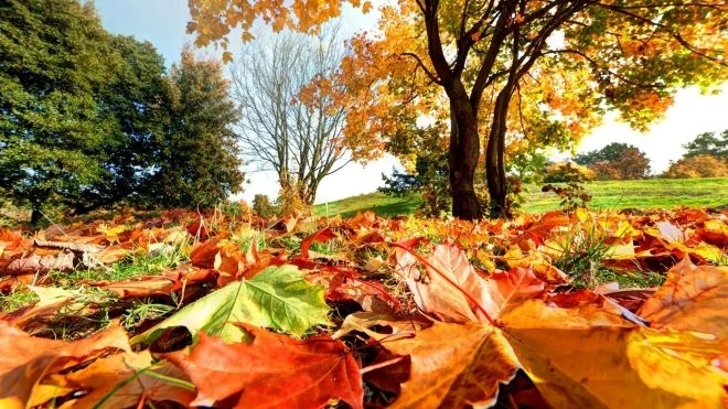 Ще премине студен атмосферен фронт съобщиха от Националния институт по