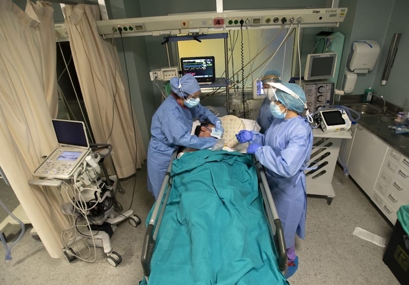 За 15 септември на територията на област Монтана има установени