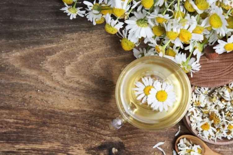 Д р Надежда Чернишова обясни как традиционната медицина помага при настинка