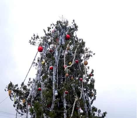 Светлините на коледната елха на площада пред НЧ Цани Иванов