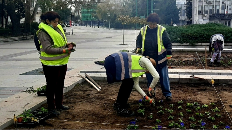 Във Видин започна подмяната на цветята на централния площад Бдинци