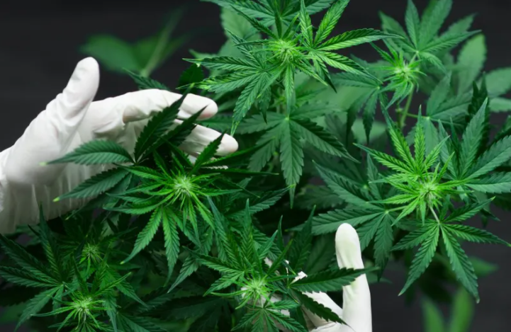 Районна прокуратура Враца Териториално отделение Оряхово приключи делото