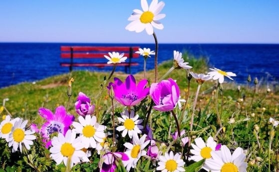 В сряда ще е предимно слънчево след обяд с разкъсана