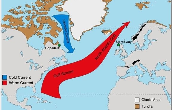 Учени от Лондонския университетски колеж установиха че морското течение Гълфстрийм