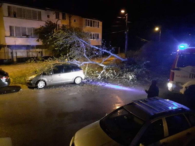 Дърво се е стоварило върху кола след снощната буря във