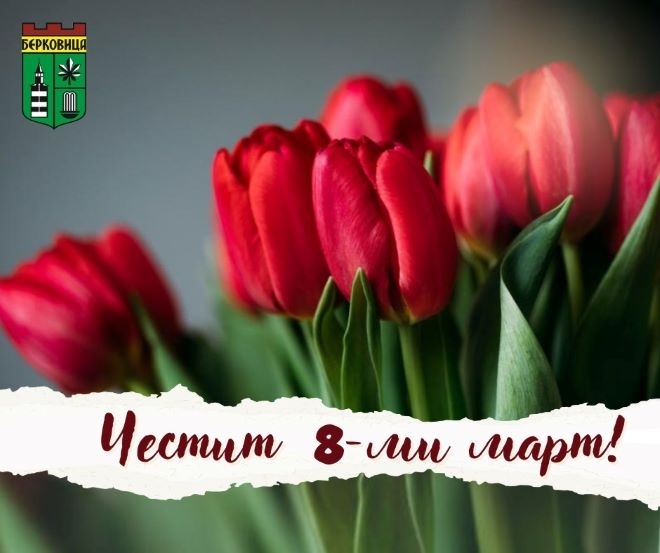 Кметът на Берковица Радослав Найденов излезе с поздрав по случай