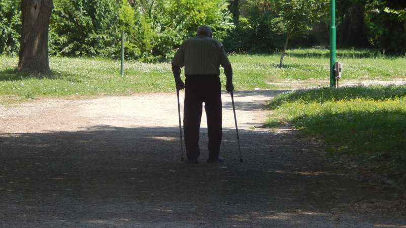 116 заявления за ползване на социалната услуга в домашна среда