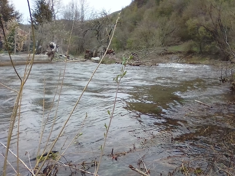 37 л кв м дъжд е паднал в района на монтанското село