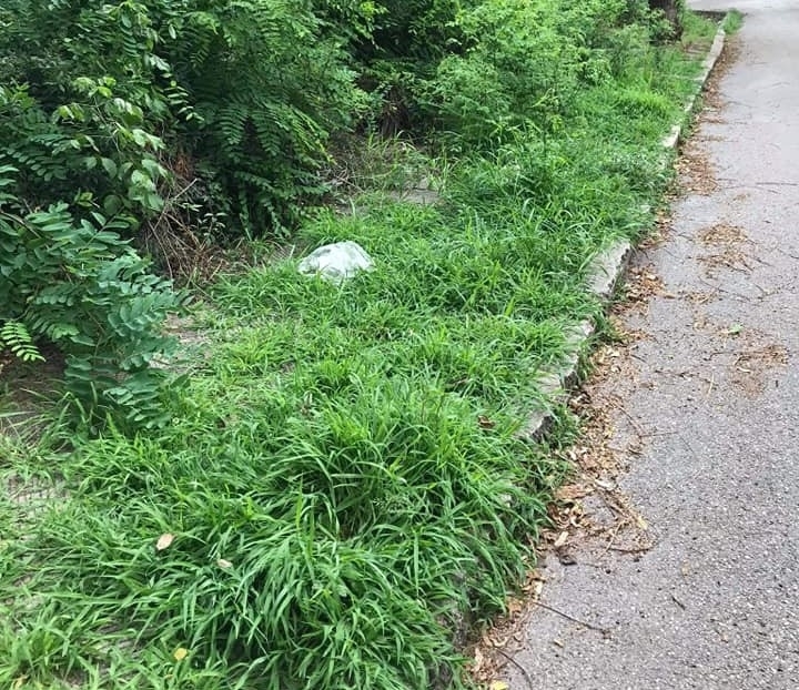 Възмутени родители от Видин повдигнаха поредния оправдан но неудобен въпрос