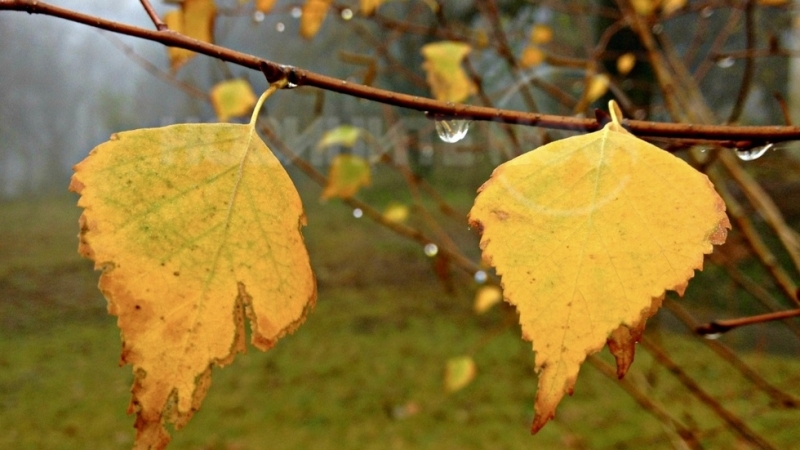 Днес над страната ще има разкъсана средна и висока облачност
