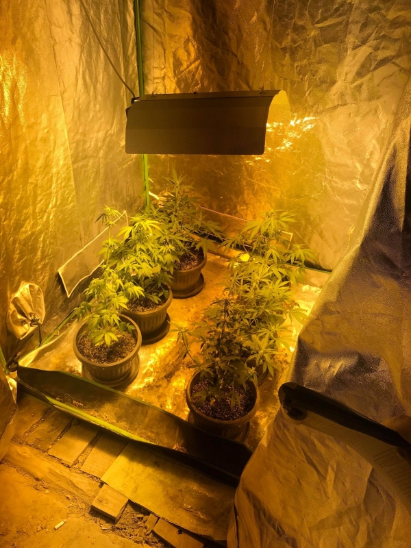 Двама видинчани били задържани в хода на предприети полицейски действия