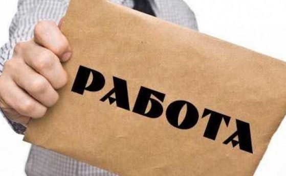 От Агенцията по заетостта обявиха 74 свободни работни места в
