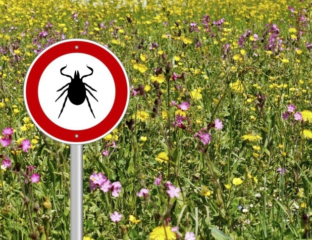 25 души са потърсили лекарска помощ след като са били