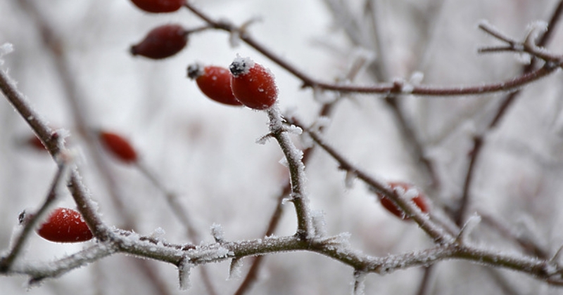 Днес ще бъде предимно слънчево Преди обяд над източните райони