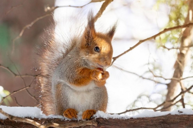 През нощта ще бъде предимно ясно със слаб запад северозападен вятър