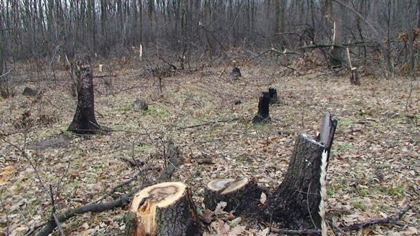Горски стражар е бил пребит от двама мъже Инцидентът е
