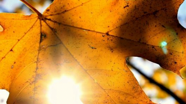 В Източна България ще духа слаб североизточен вятър съобщиха от