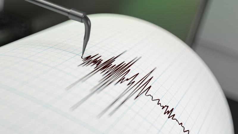 Земетресение с магнитуд от 4 по Рихтер е било регистрирано
