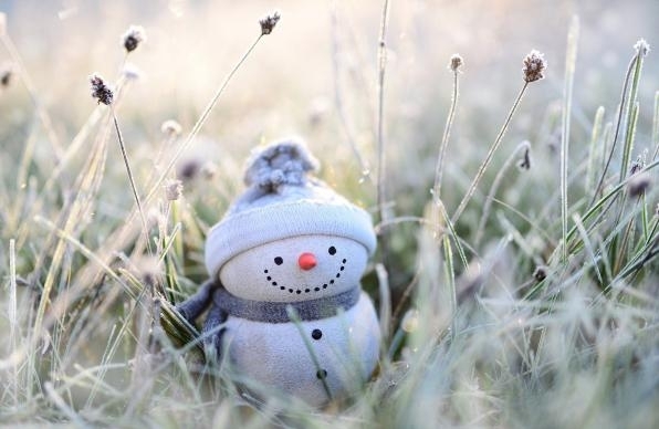 Днес до обяд на много места в равнините и низините