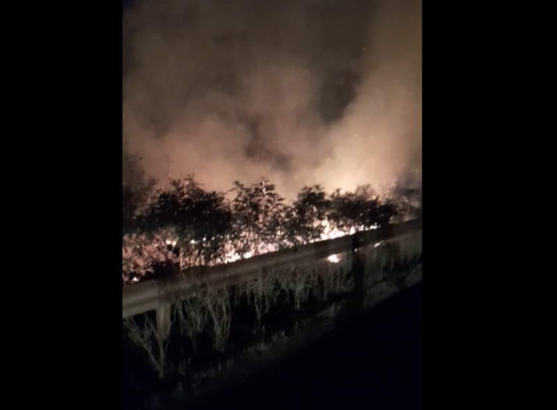 Огнен ад! Голям пожар бушува на Е-79 между Монтана и Враца /снимки/