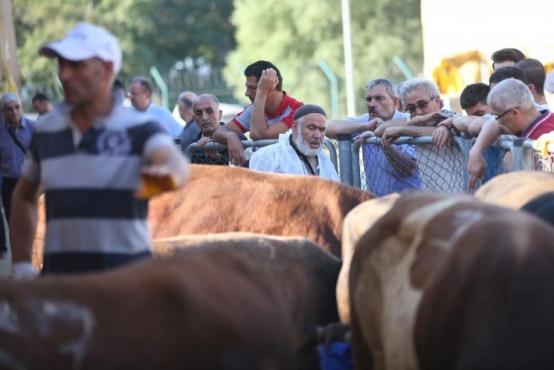 Десетки хора бяха ранени по време на отбелязването на първия