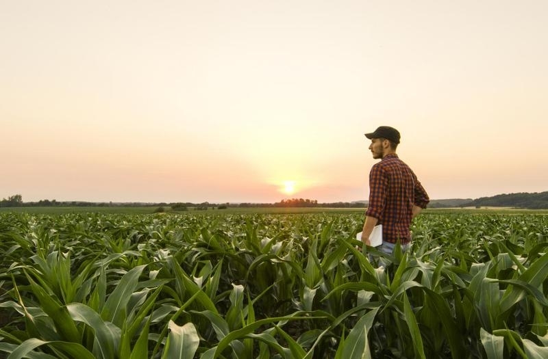 Приемът на проекти по подмярка 6 1 Стартова помощ за млади