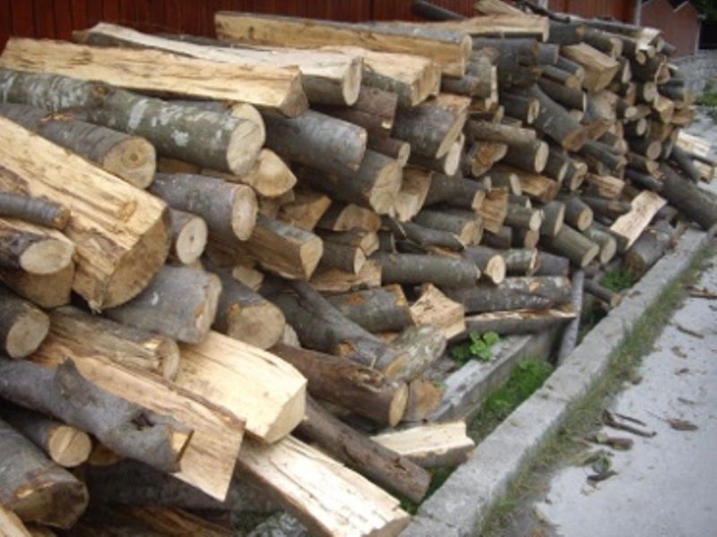 Служители на реда са конфискували незаконни дърва за огрев от