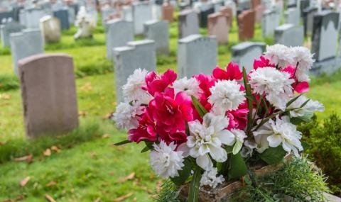 Полицията във Враца съобщи за фрапиращия случай с поруган гроб