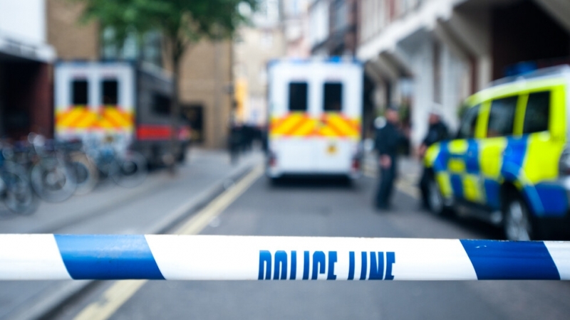 Полицията в Лондон съобщи че две деца на 12 и